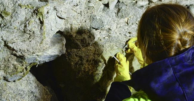 Modernizacja Muzeum Archeologicznego w Wiślicy - styczeń 2021