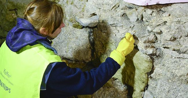 Modernizacja Muzeum Archeologicznego w Wiślicy - styczeń 2021