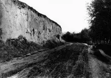 Czarno-biała fotografia błotnistej drogi przy urwisku i drzewach