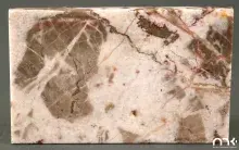 Fotografia płyty marmurowej, kremowe tło z brązowymi żyłkami i plamami, małe logo