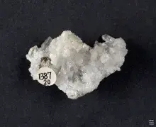 Fotografia białej kryształowej próbki minerału na czarnym tle z małą serduszkową etykietą.